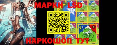 мдпв Кингисепп