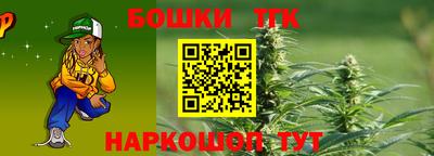 мдпв Кингисепп