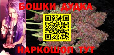 мдпв Кингисепп