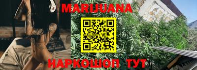 мдпв Кингисепп