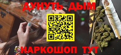 мдпв Кингисепп