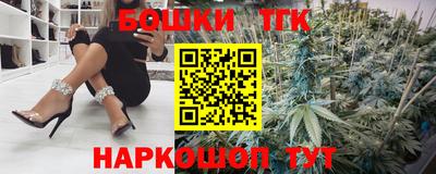 мдпв Кингисепп