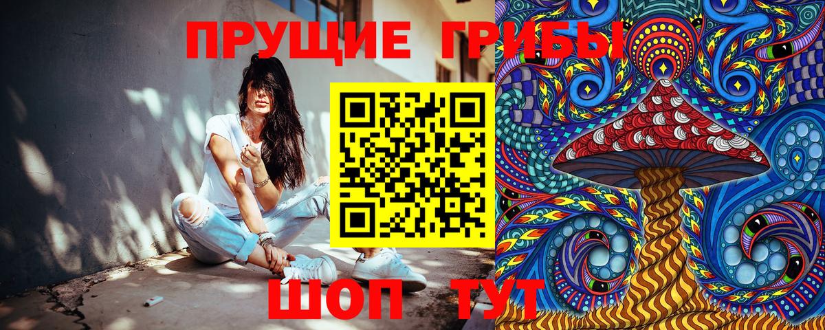 Каменка  Псилоцибиновые грибы Magic Shrooms  Вход с VPN  продажа наркотиков  Галлюциногенные грибы мухоморы 